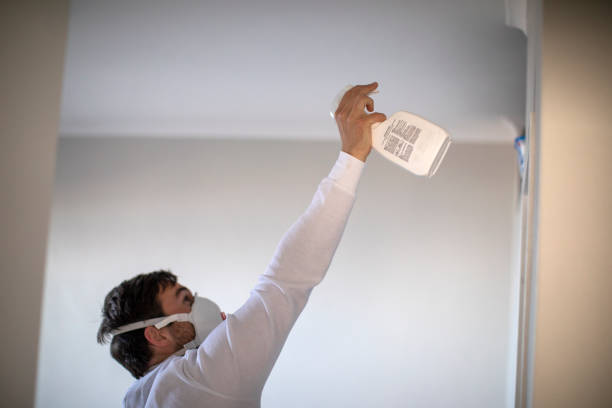Attic Mold Removal in North Bennington, VT