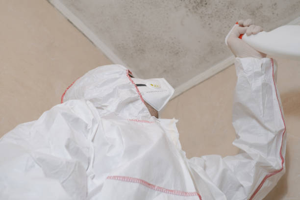 Best Office Mold Removal Services  in North Bennington, VT